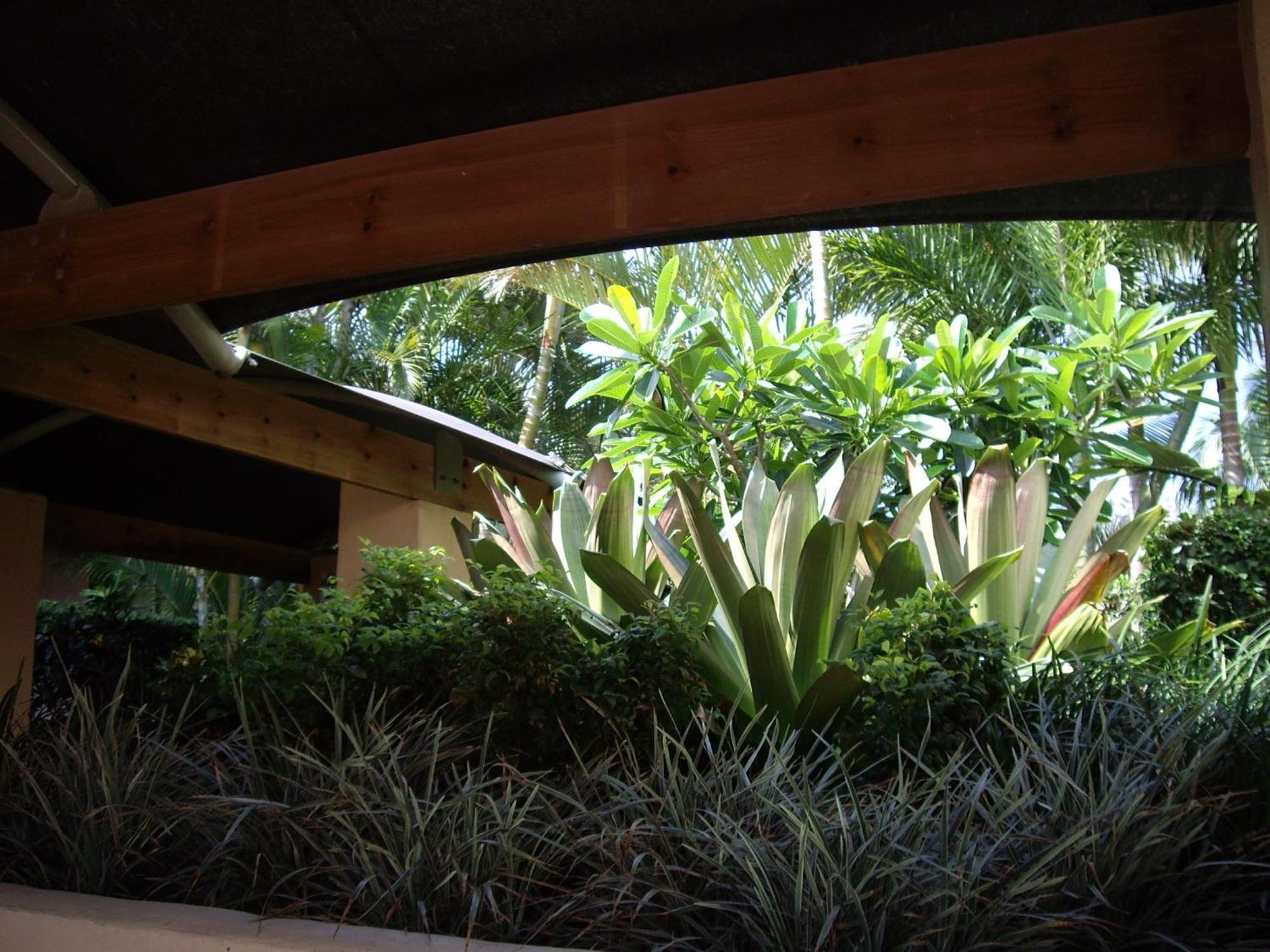 Bila Vista Kirra Beachside Apartments Gold Coast Exterior foto